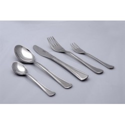 סכום נירוסטה ל 6 סועדים דגם יוקרה ללא אריזה מכסף ניר עם