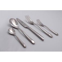 סכום נירוסטה ל 6 סועדים דגם עדי באריזת שי מכסף ניר עם